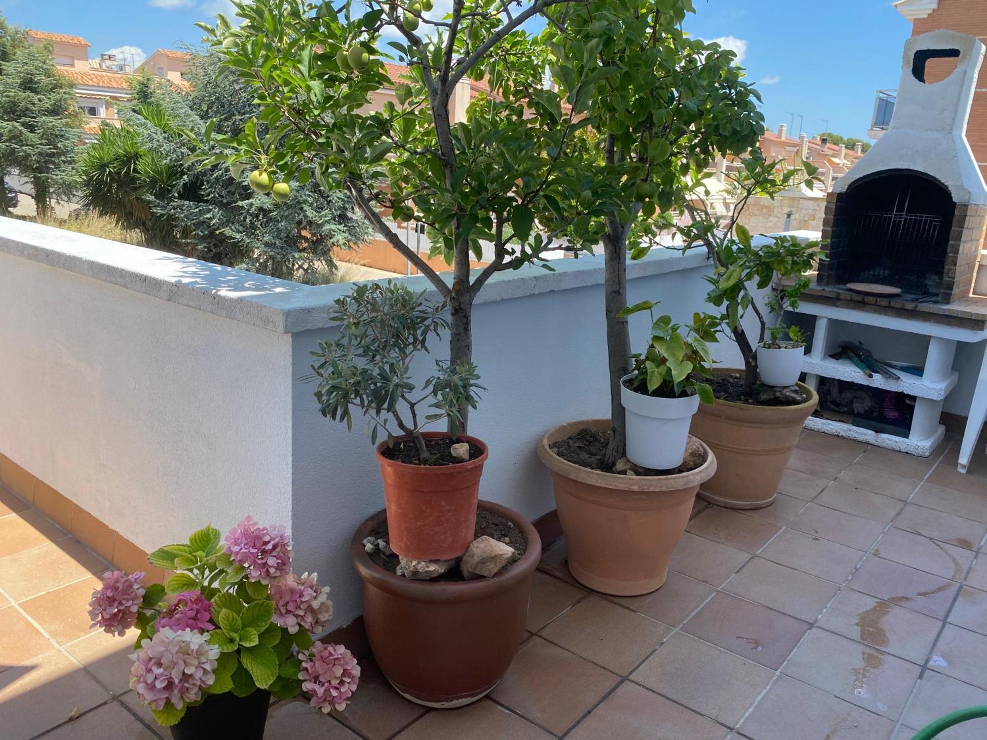 House On The Beach Calafell Bagian luar foto